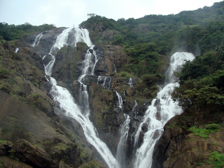 Dudhsagar waterfalls-Tricky Travellers